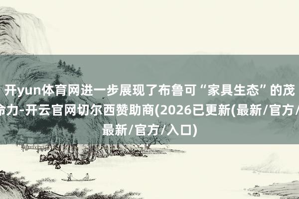 开yun体育网进一步展现了布鲁可“家具生态”的茂密人命力-开云官网切尔西赞助商(2026已更新(最新/官方/入口)